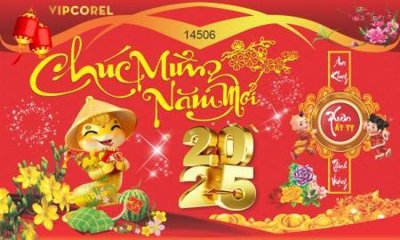 File in trần File backdrop phông chúc mừng năm mới tết 2025 ất tỵ TET2017 (bản gốc) bầu trời