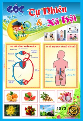 File gốc Bảng Góc tự nhiên xã hội trường học file CDR7 (cho in ấn) từ Filetranh.com