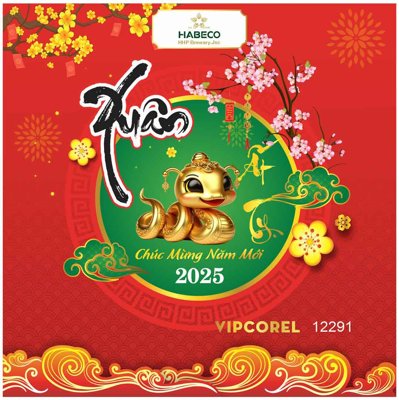 File gốc Backdrop Chúc mừng năm mới 2025 vector corel #17 (in lụa) tranh phong thủy