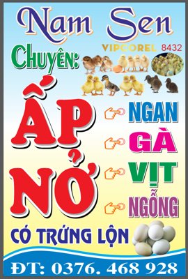 File in trần Biển vẫy Nam Sen - chuyên ấp nở ngan gà vịt (file gốc) hoa văn 3D