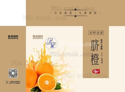 File in lụa CE (10) (tân cổ điển) CE (10)