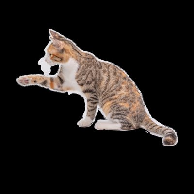 Download file gốc Hình ảnh PNG tách nền - Con Mèo (in lụa) cao cấp