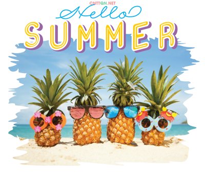 Ảnh gốc file in lụa Mẫu in áo - in lụa Hello summer file Illustrator chi tiết