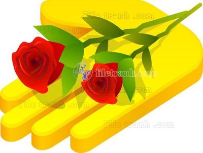 File in lụa Natal 14 (chất lượng cao) Natal 14