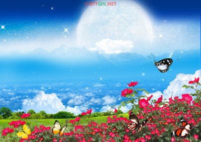 File in lụa [PSD] Phong cảnh ghép ảnh hàng cây hoa hồng (hoa văn) [PSD] Phong cảnh ghép ảnh hàng cây hoa hồng