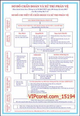 File ảnh Sơ đồ chi tiết chẩn đoán và xử trí phản vệ (gốc) in PP, decal