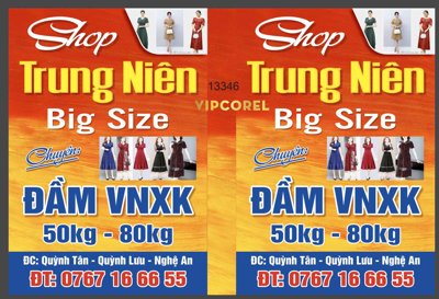 File tranh in trần 3D Shop Trung Niên - Big Size - đầm VNXK file vector (ảnh gốc)