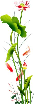 Ảnh gốc Tải tranh bộ ghép 3 tấm những bông hoa #204 (độ nét cao) in tráng gương