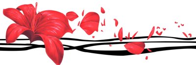 File ảnh Tải tranh bộ ghép 3 tấm những bông hoa #89 (gốc) cho trang trí nội thất