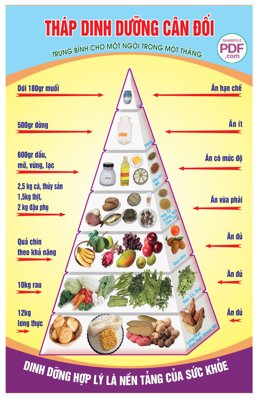 File tranh Tháp dinh dưỡng cân đối file PDF & CDR (ảnh gốc) không bị mờ