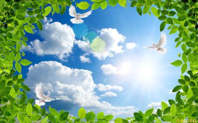 Cung cấp file tranh gốc Tranh 3D Trần Xuyên Sáng chất lượng cao #2 độc quyền