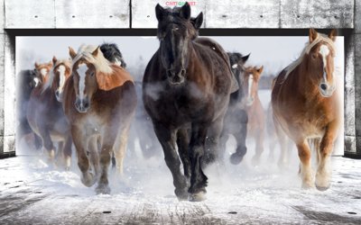 Tải file Tranh 3D mã "3D-061" đến "3D-070" - Tranh tường 3D (gốc) in tranh tráng gương