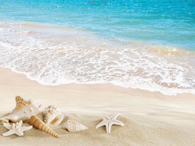 Mua file gốc Tranh 3D mã "DH-0031" đến "DH-0040" - Tranh trang trí (chất lượng) tại Filetranh.com