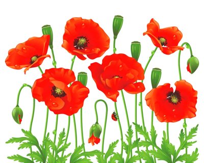 File in trần Tranh dán tường 3D hoa nghệ thuật hiện đại #48 (file gốc) xuyên sáng