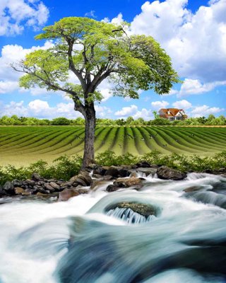 File PSD Tranh dán tường 3D phong cảnh hữu tình #146 (chất lượng in ấn)