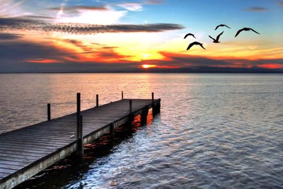 File tranh Tranh dán tường 3D phong cảnh hữu tình #70 (gốc) in film