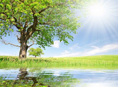 File gốc Tranh dán tường 3D phong cảnh hữu tình #80 (in mica) trang trí