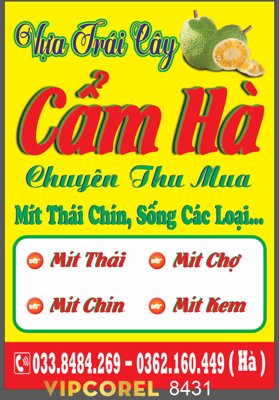 File tranh gốc Vựa Trái Cây Cẩm Hà - chuyên thu mua mít thái (bản quyền) độc đáo