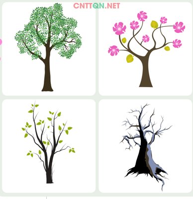 File gốc Vector Cây trang trí cửa kính - trang trí tường Corel (in ấn) màu sắc trung thực