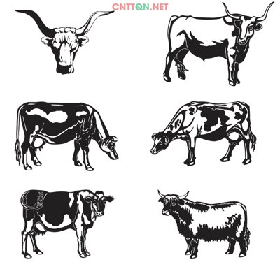 File gốc Vector con trâu – tải vector đẹp miễn phí (thiết kế) độc quyền