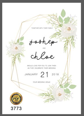 File gốc Vector wedding Invitation #8 file PDF (cho in ấn) từ kho Filetranh
