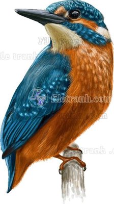 File gốc Vetores (1094) (in mica) làm bảng hiệu