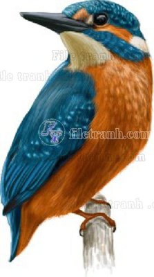 File gốc Vetores (1094)_1 (in mica) làm quà tặng