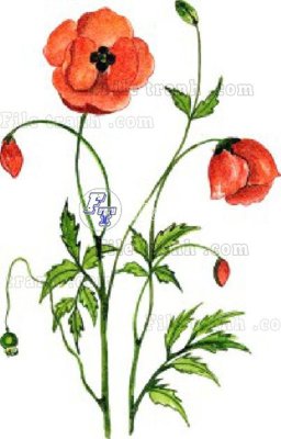 File gốc Vetores (501)_1 (chuẩn màu) cho in offset