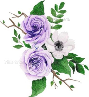 File ảnh Vetores (503)_1 (gốc) in standee