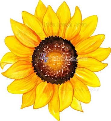 File in ấn Vetores (504) (bản gốc) chất lượng cao