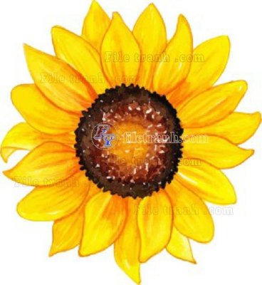 Tải file Vetores (504)_1 (gốc) làm file tranh quảng cáo