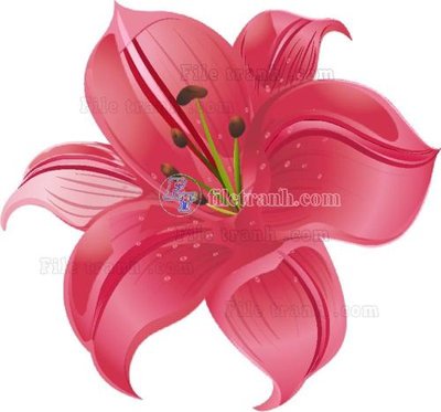 Tải file Vetores (507) (gốc) chủ đề phong thủy