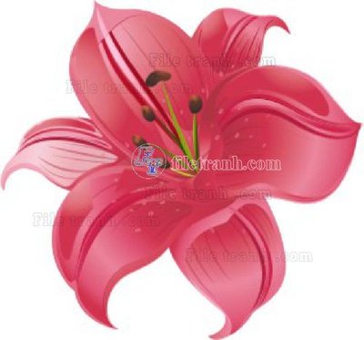 File in trần Vetores (507)_1 (bản gốc) hoa văn