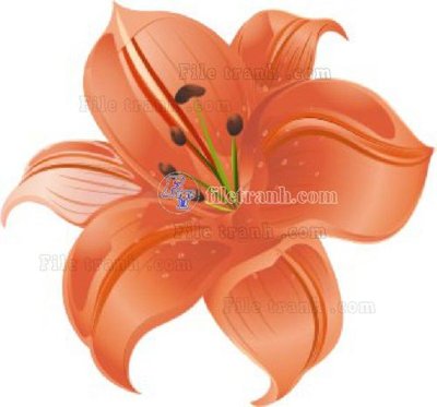 File gốc in ấn Vetores (509)_1 chuẩn màu CMYK