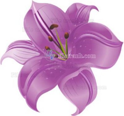 File in trần Vetores (510)_1 (file gốc) xuyên sáng