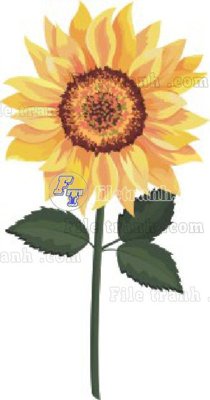 File tranh Vetores (516)_1 (ảnh gốc) in trần nhà