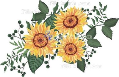 Tải file gốc Vetores (519) (bản PSD) chỉnh sửa được