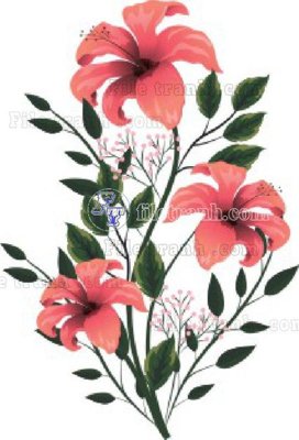 File gốc Vetores (537)_1 (in tráng gương) nghệ thuật