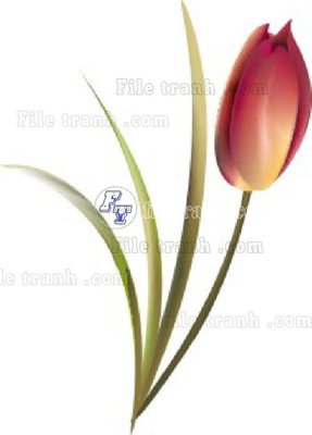 File gốc Vetores (551)_1 (in mica) cắt laser