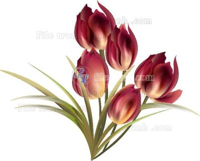 File gốc Vetores (552) (PSD/TIFF) độ phân giải cao