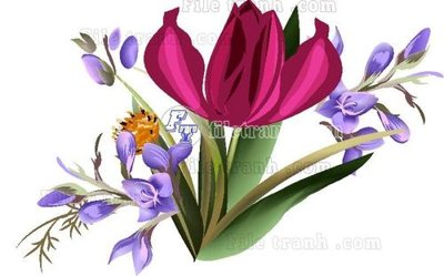 File in mica Vetores (555) (bản gốc) sắc sảo