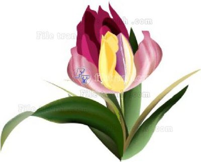 File in ấn chuyên nghiệp Vetores (557)_1 (file gốc)