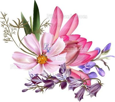 Tải file Vetores (558) (ảnh gốc) in tráng gương