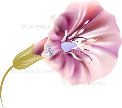 File ảnh Vetores (559) (gốc) in decal dán tường