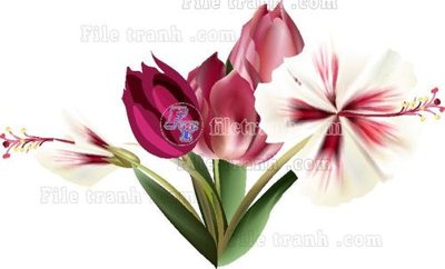 Tải file tranh gốc Vetores (560) chất lượng cao