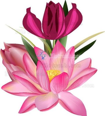 File tranh Vetores (563) (bản gốc) in lụa 5D