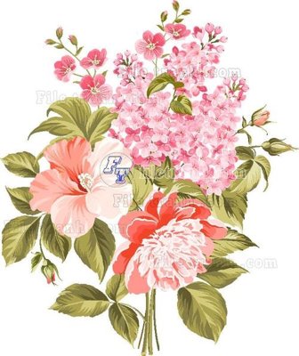 File tranh in trần Vetores (564) (ảnh gốc siêu nét)