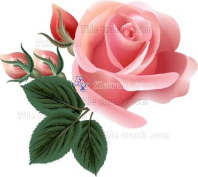 Tải file Vetores (565)_1 (PSD) cho in ấn quảng cáo