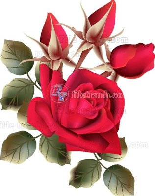 File gốc Vetores (566) (PNG) trong suốt (transparent)