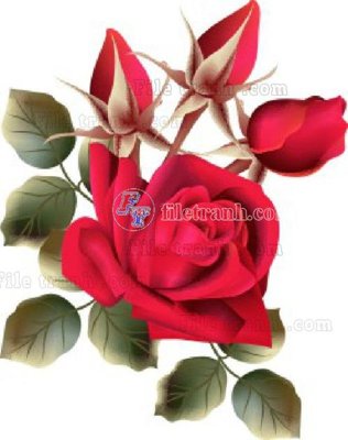 Tải file Vetores (566)_1 (PSD) cho in ấn quảng cáo